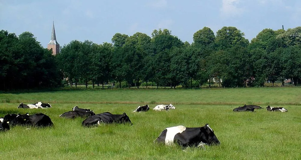 Gieten: Zicht op Gieten